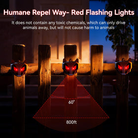 Thcritter Chicken Coop Protection solar lights brighten coop entries and deter opportunistic visits