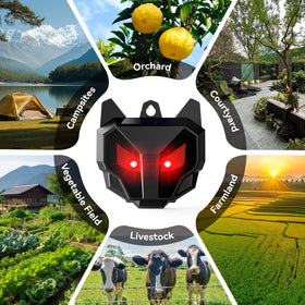 Thcritter Night-time Predator Deterrence Lights improve visibility for pathways and livestock areas