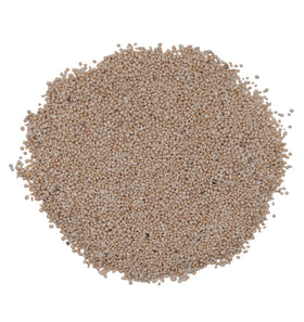 The Andersons DG technology delivery visual showing root-zone nutrient access