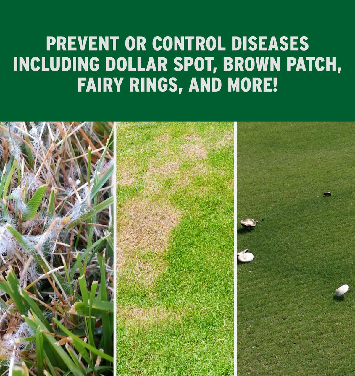 The Andersons Prophesy DG Pro helps prevent brown patch on lawns.