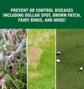 The Andersons Prophesy DG Pro helps prevent brown patch on lawns.