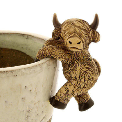 The Bridge Collection Highland Cow pot hanger clings to a 4-inch pot with whimsy.