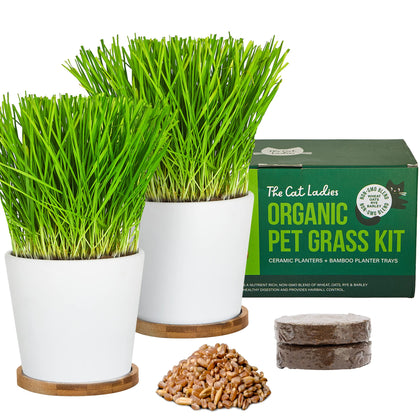 The Cat Ladies cat grass kit with ceramic planters for easy indoor greenery.