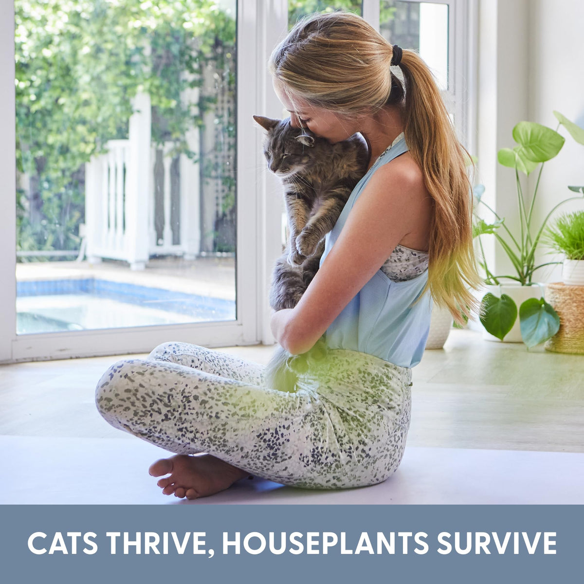 The Cat Ladies kit shows rapid sprout potential in 4–7 days.