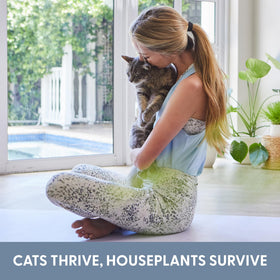 The Cat Ladies kit shows rapid sprout potential in 4–7 days.
