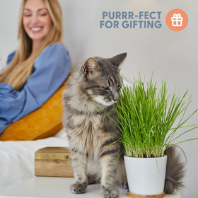 The Cat Ladies kit contains soil disks for quick, clean starter germination.