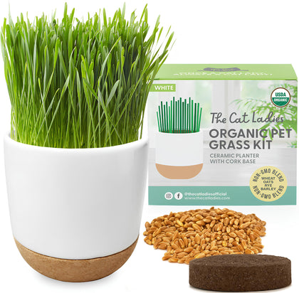 The Cat Ladies cat grass kit planter with ceramic and cork, ideal for indoor cats.