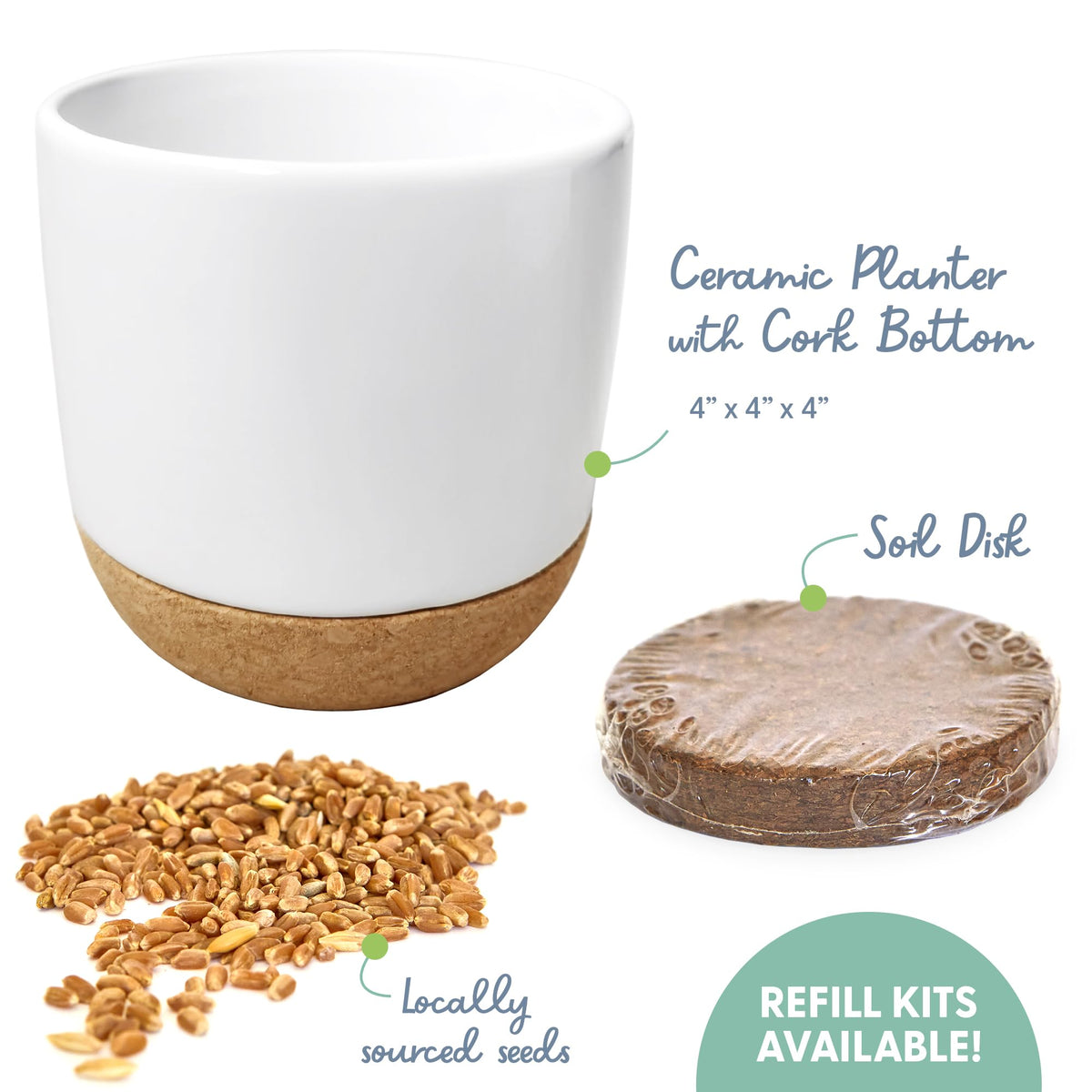 Soil disk and seeds arranged for quick growth in 4–7 days.