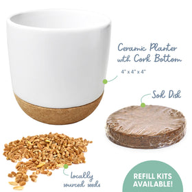 Soil disk and seeds arranged for quick growth in 4–7 days.