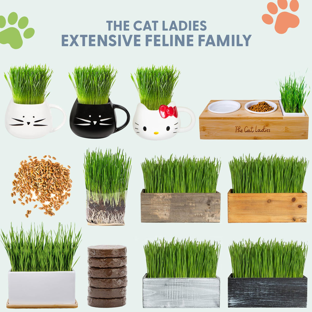Gift-ready Cat Grass Kit ideal for cat moms and indoor cats.