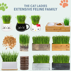 Gift-ready Cat Grass Kit ideal for cat moms and indoor cats.