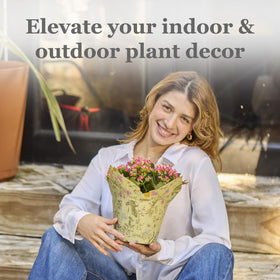 The Florist Supply Premium 6-inch AZA cover is reusable for seasonal decorating.