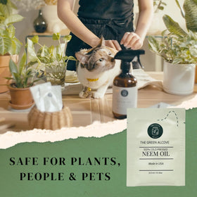 The Green Alcove supports indoor and outdoor plant care for versatile use.