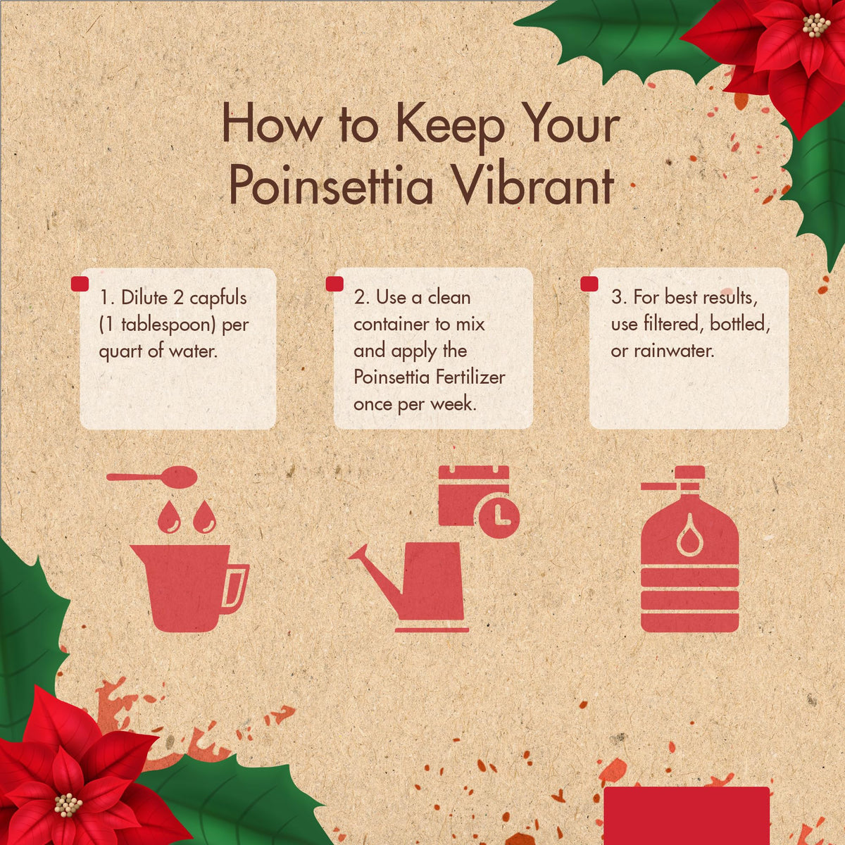 Festive poinsettia decor maintained by The Grow Co fertilizer.