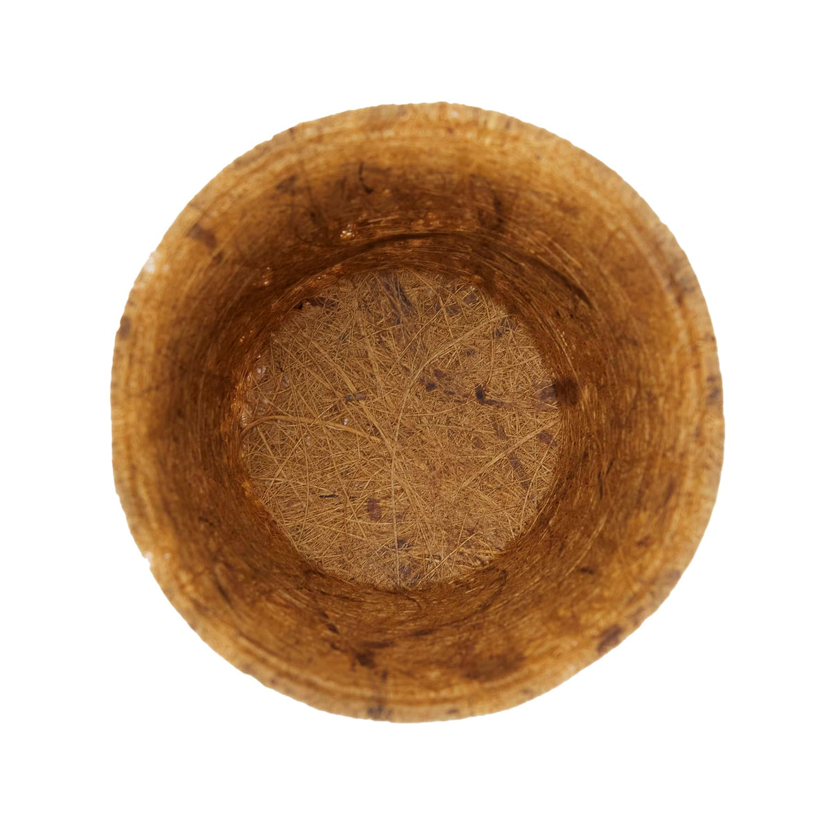 The HC Companies biodegradable seed pots can be planted directly in soil.