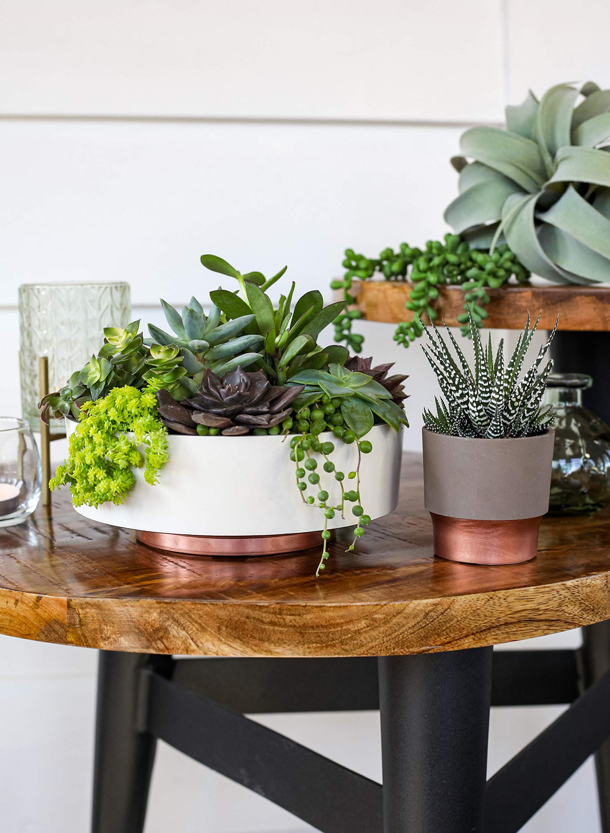 The HC Companies Capri Bowl drain hole demonstrates water management for succulents and herbs.