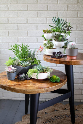 The HC Companies Capri Bowl two-pack enables versatile indoor and outdoor displays.