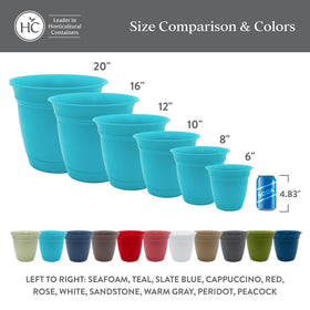 The 12-inch round planter supports healthy growth with built-in drainage.