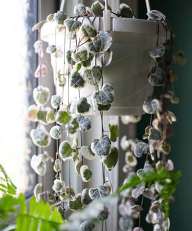 Close-up of drainage holes in The HC Companies Euro Hanging Planter