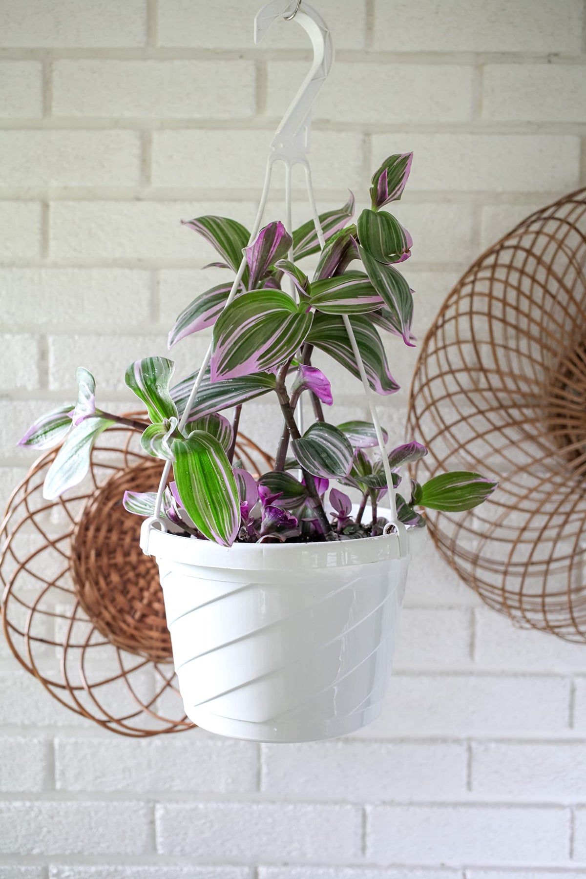 The HC Companies Euro Hanging Planter shown for indoor and outdoor use in white