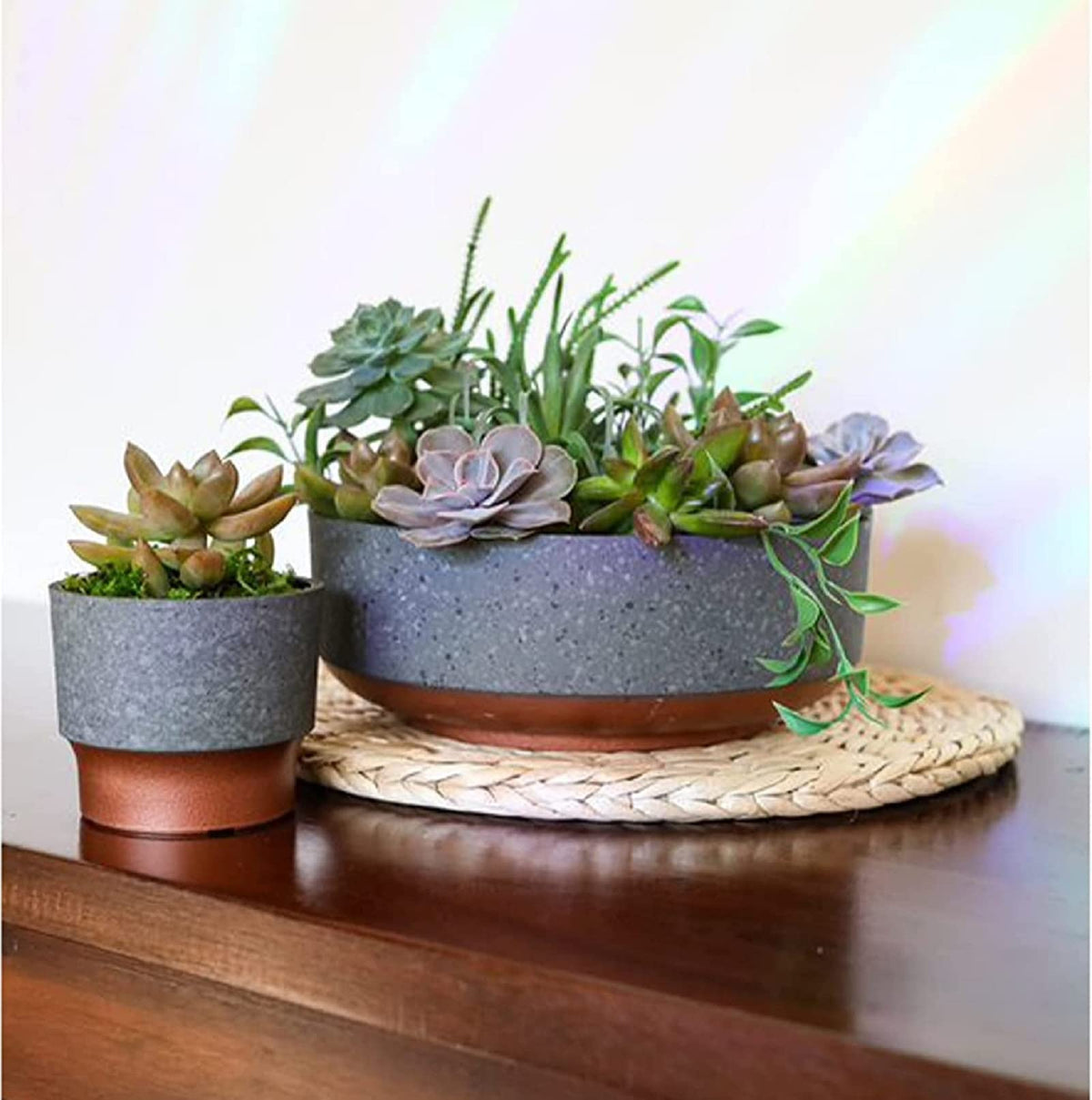 The HC Companies Sprite pot measures 3x3x2.5 inches for tight spaces.
