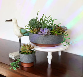 The HC Companies Sprite pot showing a drainage hole for succulent care.