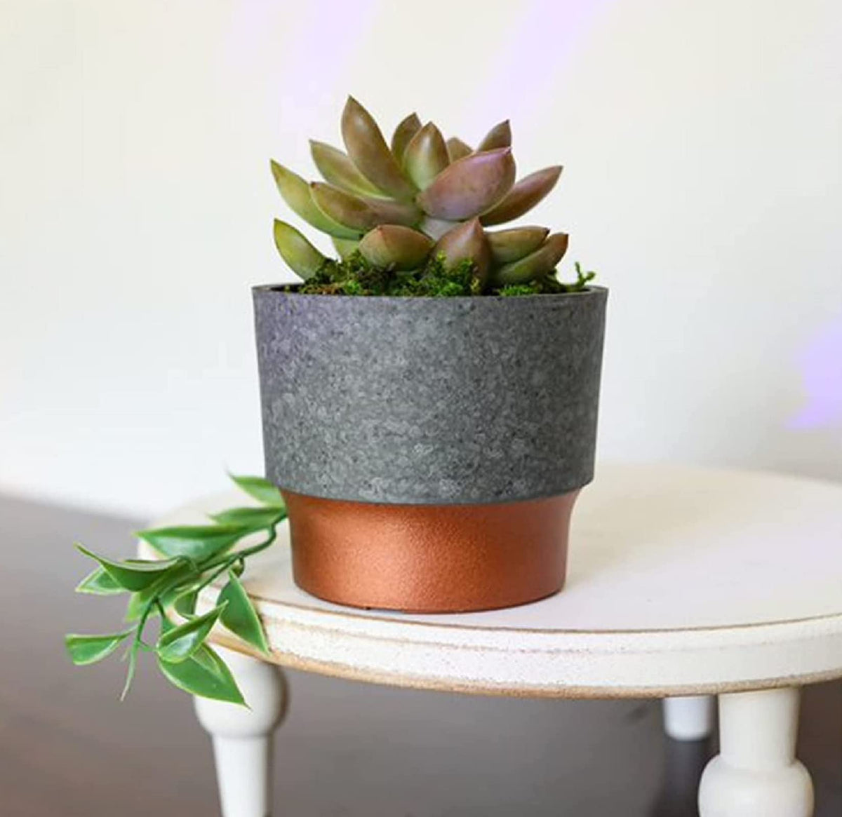 Sprite mini succulent pot with premium ceramic-concrete look for indoor decor.