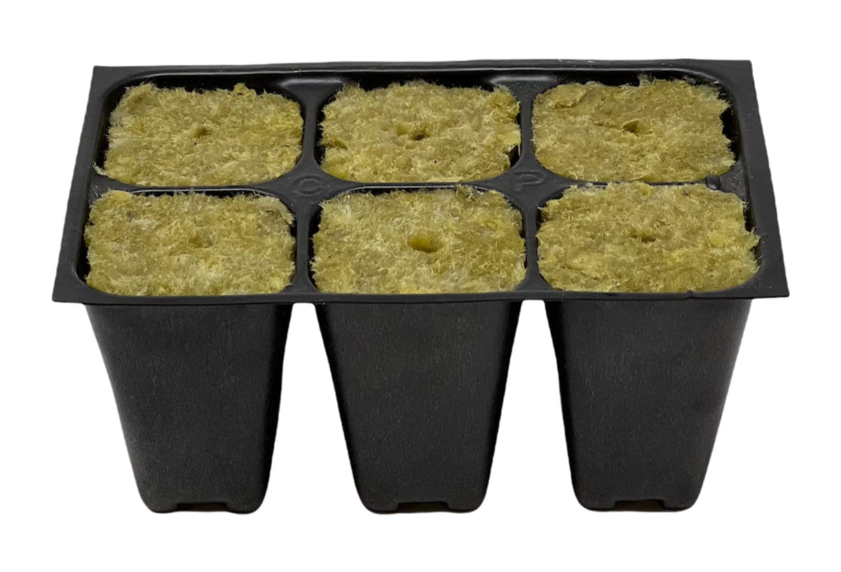 The Hydroponic City plant stakes labeling view shows clear seedling organization for easy care.