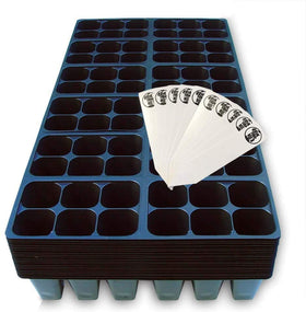 The Hydroponic City seed starter tray assembly highlights organized 1440-cell setup for efficient seed starting.