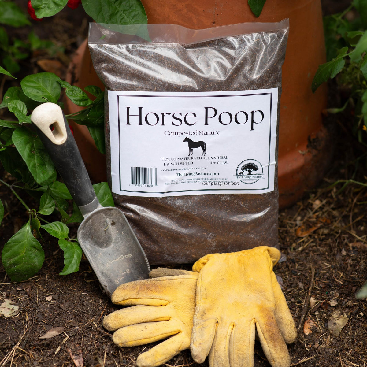 The Living Pasture herb and flower bed shows vibrant growth with compost support.