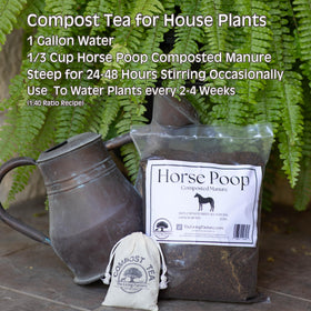 The Living Pasture lawn and shrub scene emphasizes soil health and plant resilience.