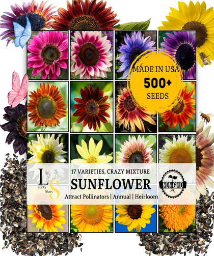 The Lucky Stars mixed sunflower seeds bulk pack ready for planting indoors or outdoors