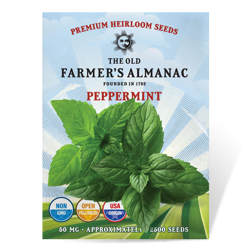 The Old Farmers Almanac heirloom peppermint seeds packaging front, ideal for gifting or storage.