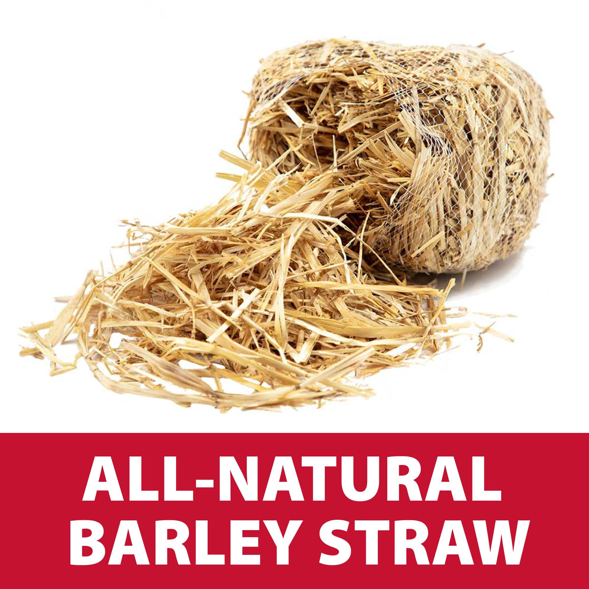 The Pond Guy barley straw bale in mesh packaging keeps it tidy.