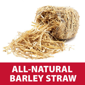 The Pond Guy barley straw bale in mesh packaging keeps it tidy.