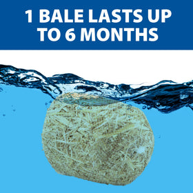 The Pond Guy barley straw bale is safe for aquatic life.