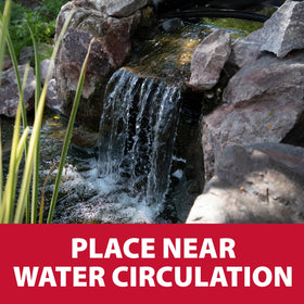 The Pond Guy barley straw bale used in small koi ponds.