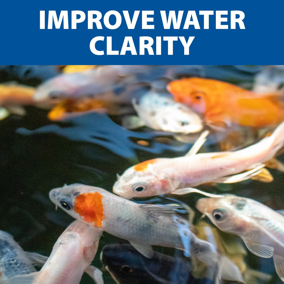 Usage guidelines for The Pond Guy barley straw pellets on box