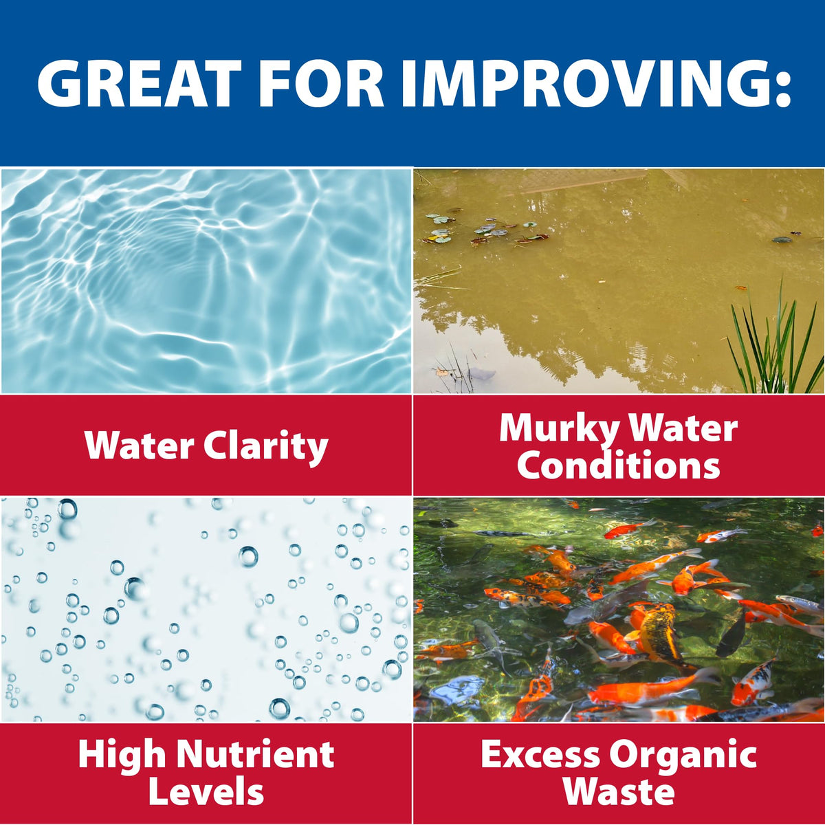 Pond water clarity image highlights visibly cleaner, more balanced water.