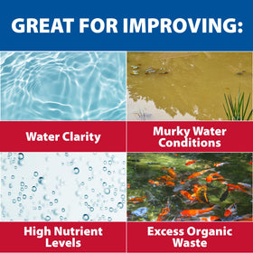 Pond water clarity image highlights visibly cleaner, more balanced water.