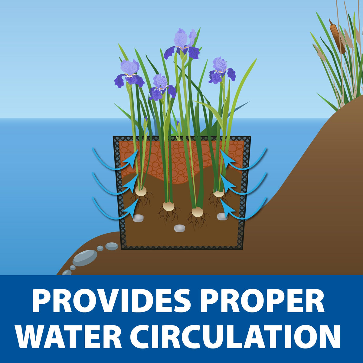 The Pond Guy fertilizer tabs sample supports early growth in water plants