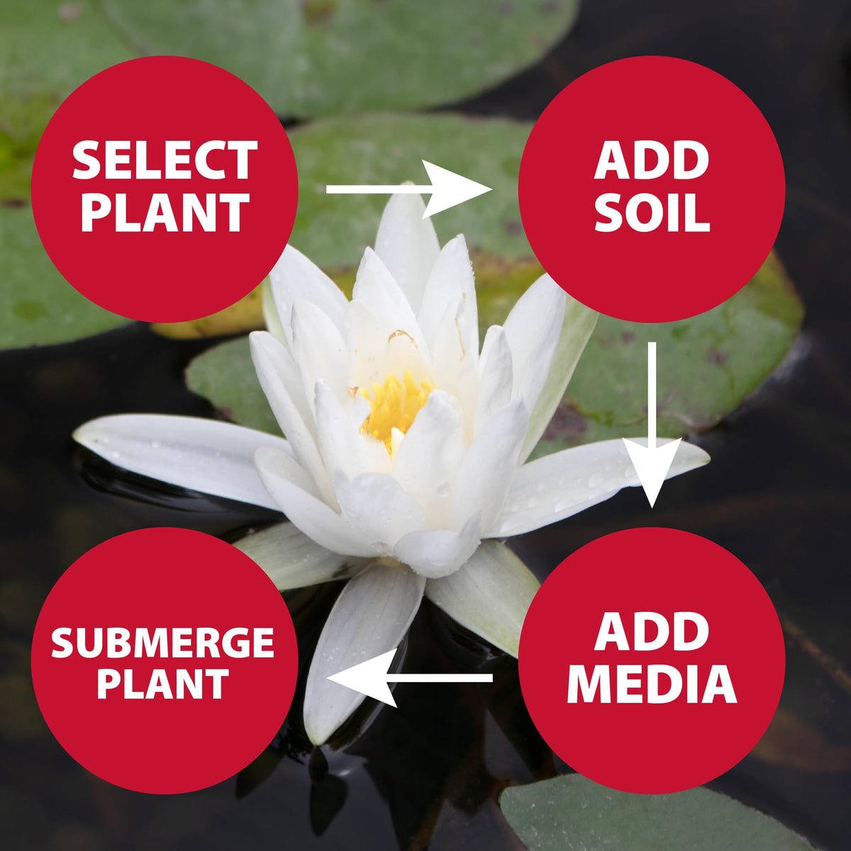 The Pond Guy aquatic media pH-neutral granules support bacteria and water balance