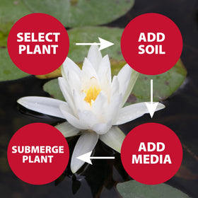 The Pond Guy aquatic media pH-neutral granules support bacteria and water balance