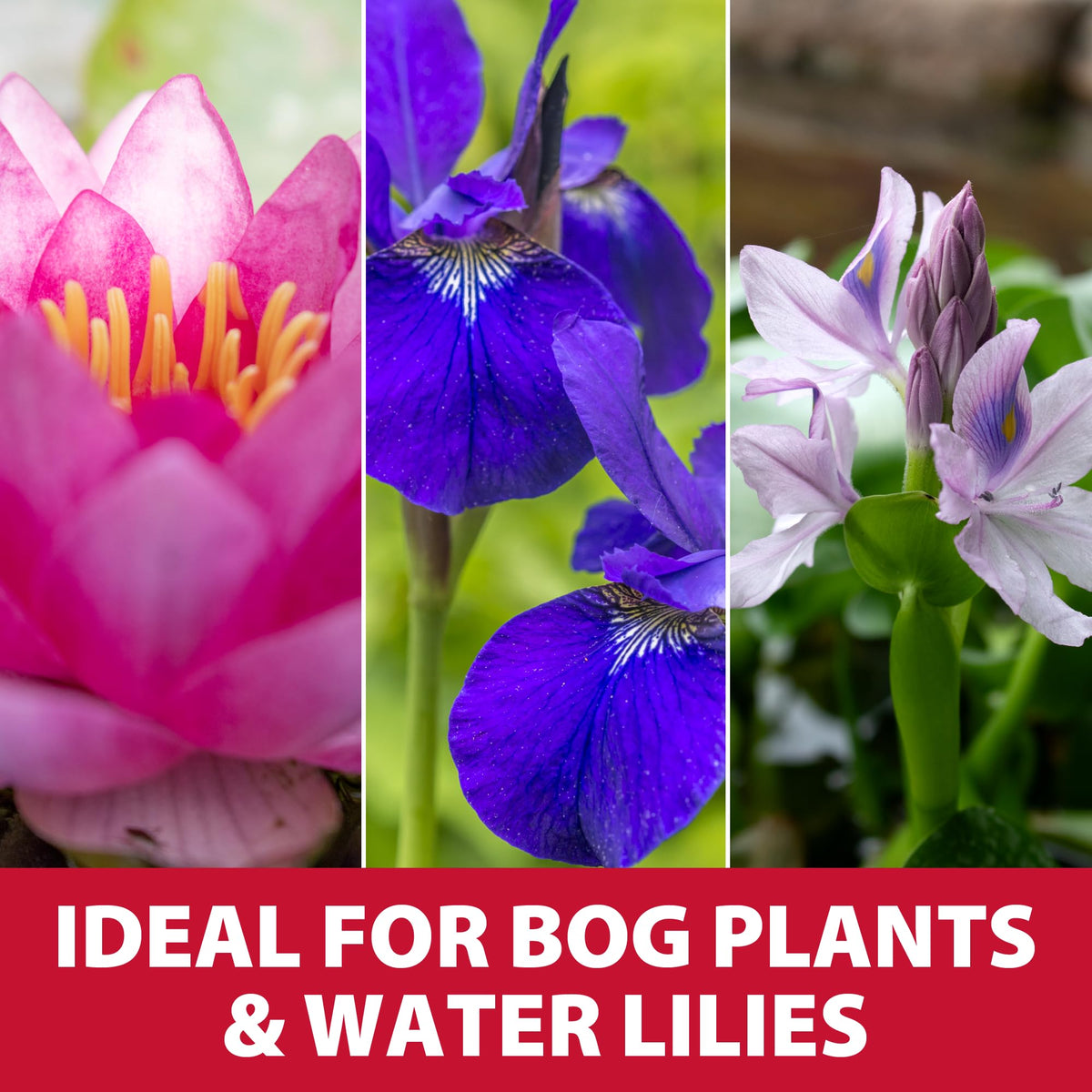 The Pond Guy premium aquatic soil loamy mix nourishes plants without floating