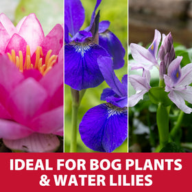 The Pond Guy premium aquatic soil loamy mix nourishes plants without floating