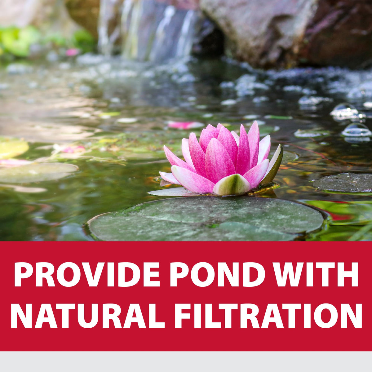 The Pond Guy kit demonstrates safe materials for aquatic life