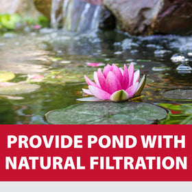 The Pond Guy kit demonstrates safe materials for aquatic life
