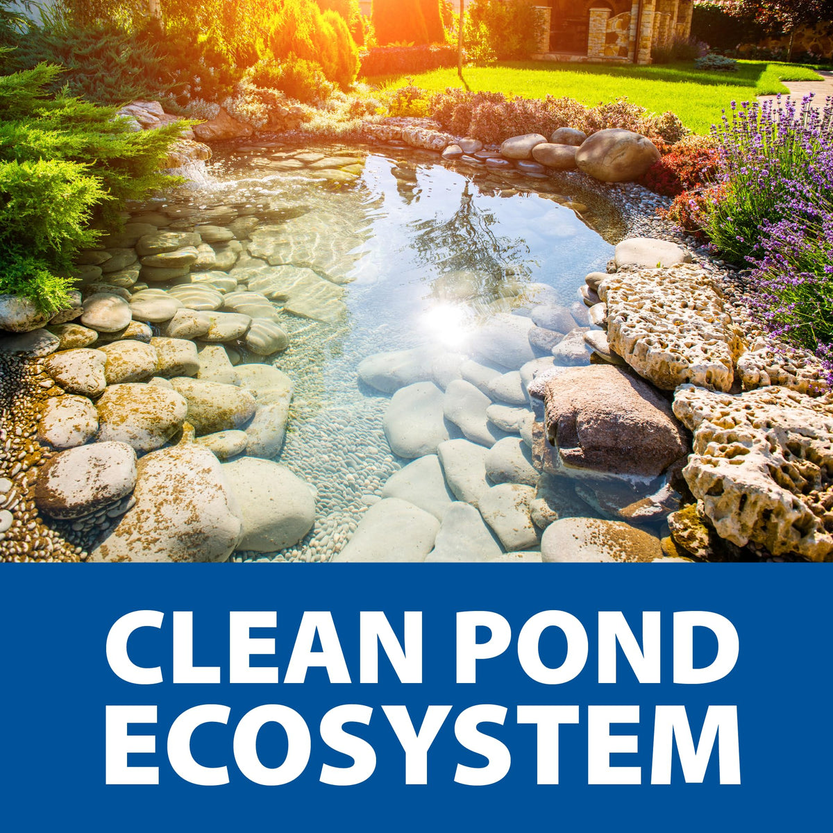 Water clarity focus showing clearer pond water with Seasonal Defense