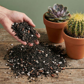 Lava rock, pumice, compost, bark, sand, biochar, and mycorrhizae in The Soil Sage mix.