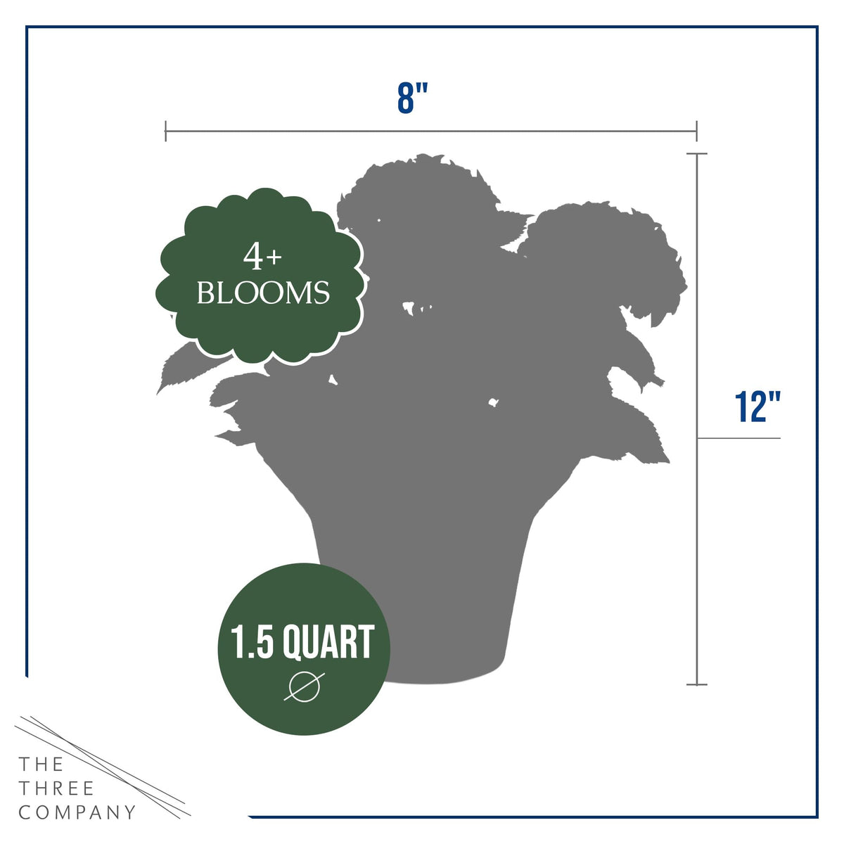 The Three Company hydrangea 12-inch tall profile fits patios easily.